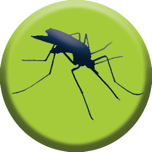 mosquito icon