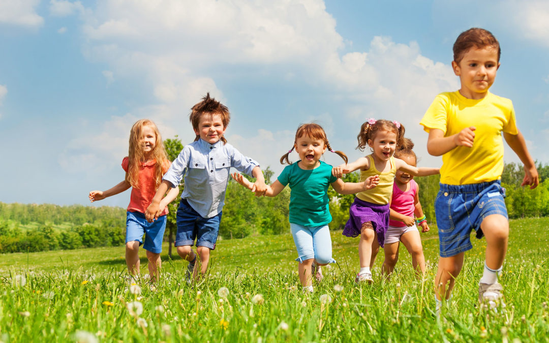 Beating the Heat and the Pests: Round Rock’s Summer Pest Survival Guide