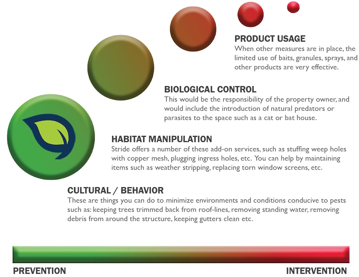 Pest Control Services Stride Pest Control