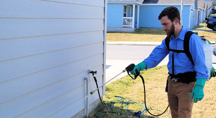 Cost Considerations for Pest Control Services in Round Rock TX