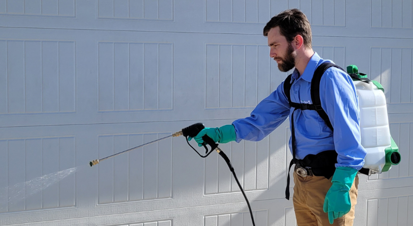 Factors That Influence Pest Control Frequency in Austin TX - Stride Pest Control Austin Pest Control