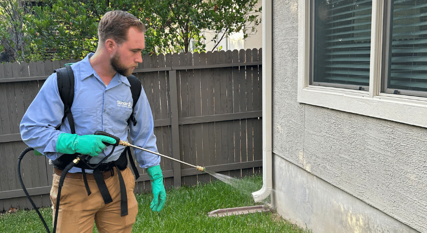 Austin Pest Control