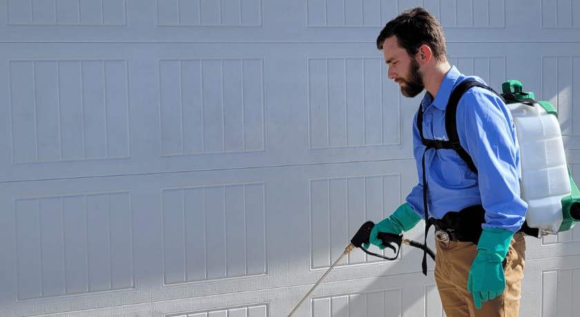 Long-Term Benefits of Professional Pest Management in Austin TX - Stride Pest Control Austin Pest Control