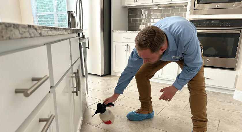 Termites Silent Destroyers of Your Property in Round Rock TX