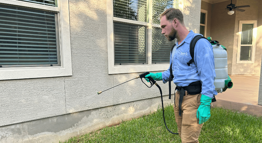 When to Call a Professional Exterminator in Round Rock TX