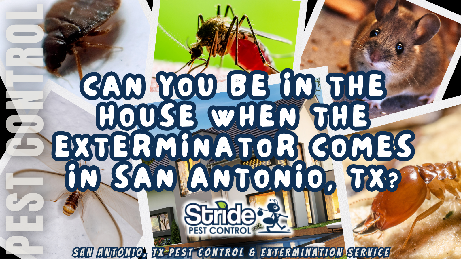 Can you be in the house when the exterminator comes in San Antonio, TX?