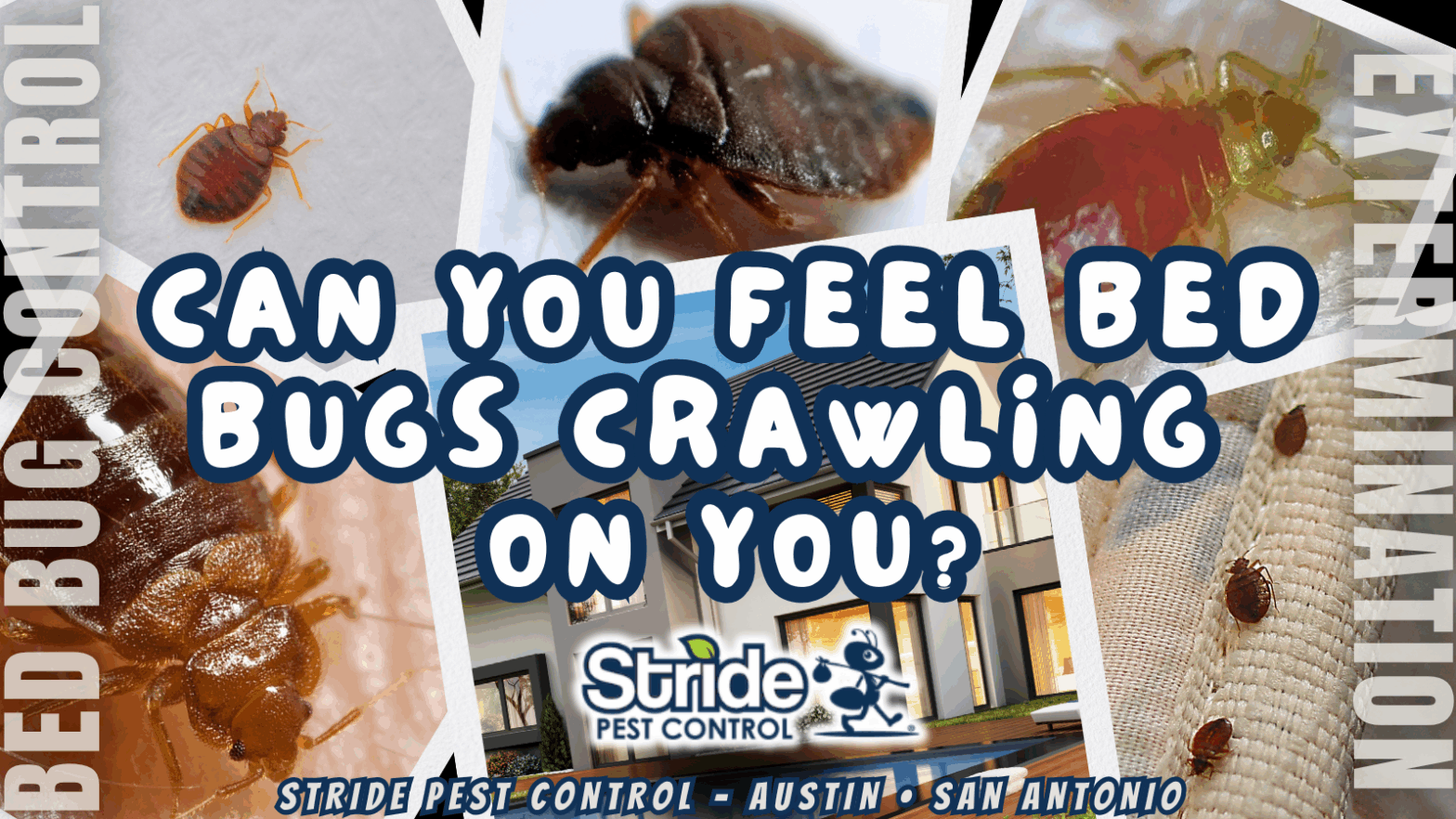 Can you feel bed bugs crawling on you?