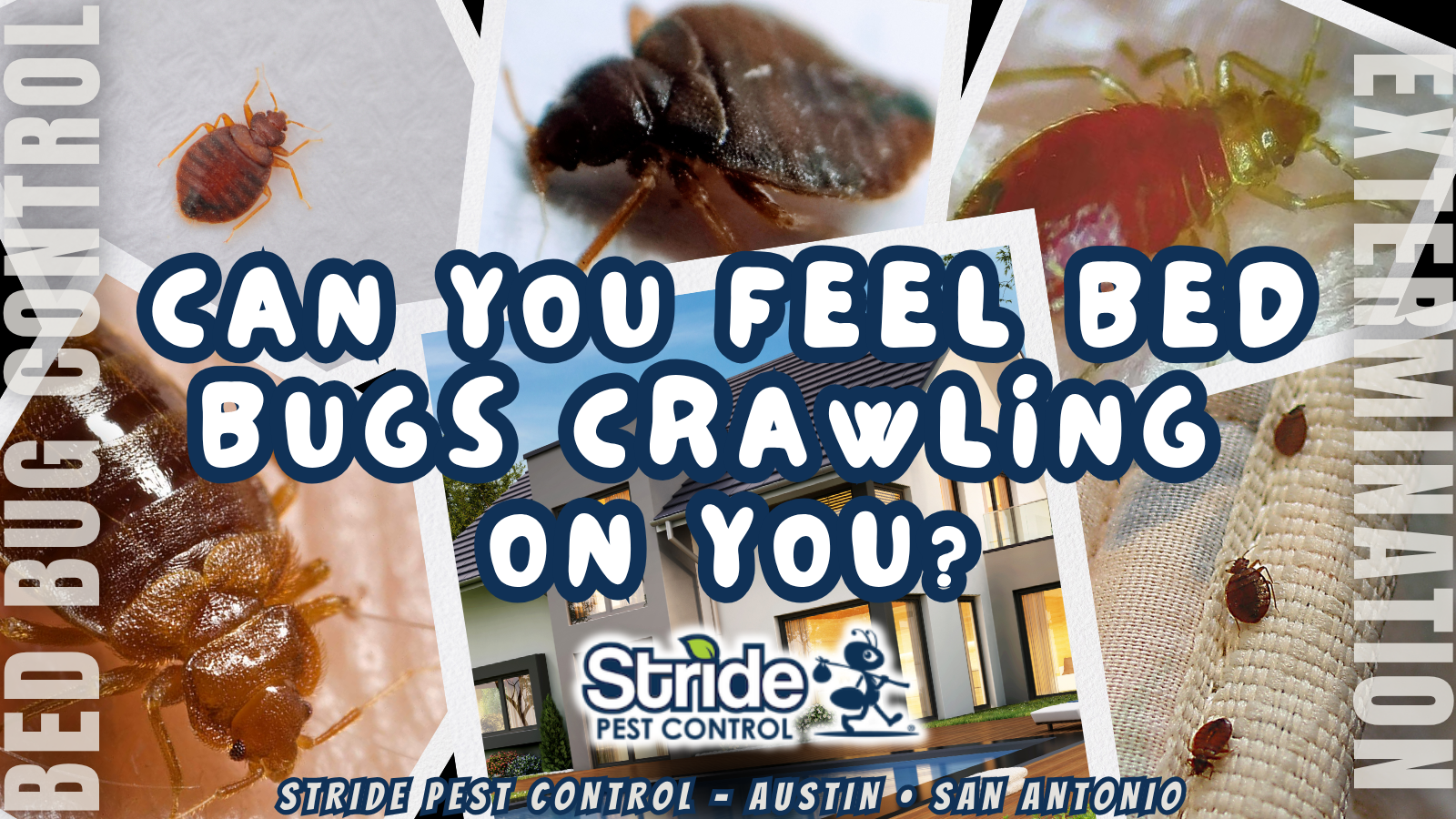 Can You Feel Bed Bugs Crawling on You?