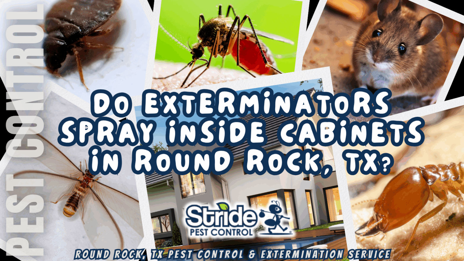 Do exterminators spray inside cabinets in Round Rock, TX?