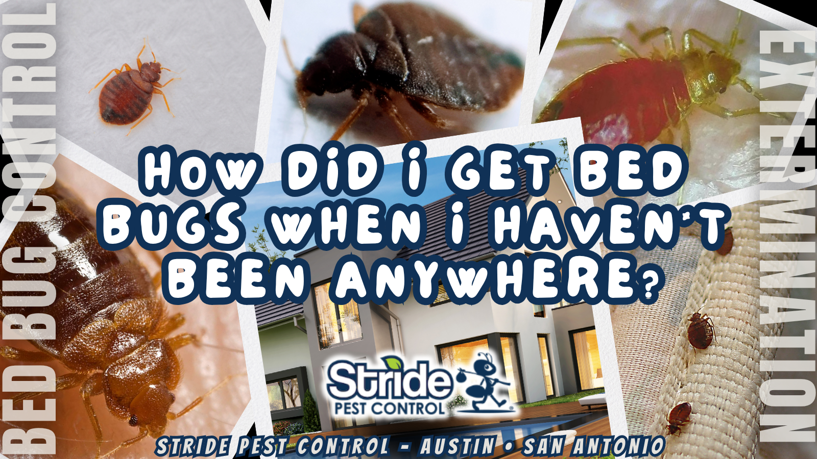 How did I get bed bugs when I haven't been anywhere?