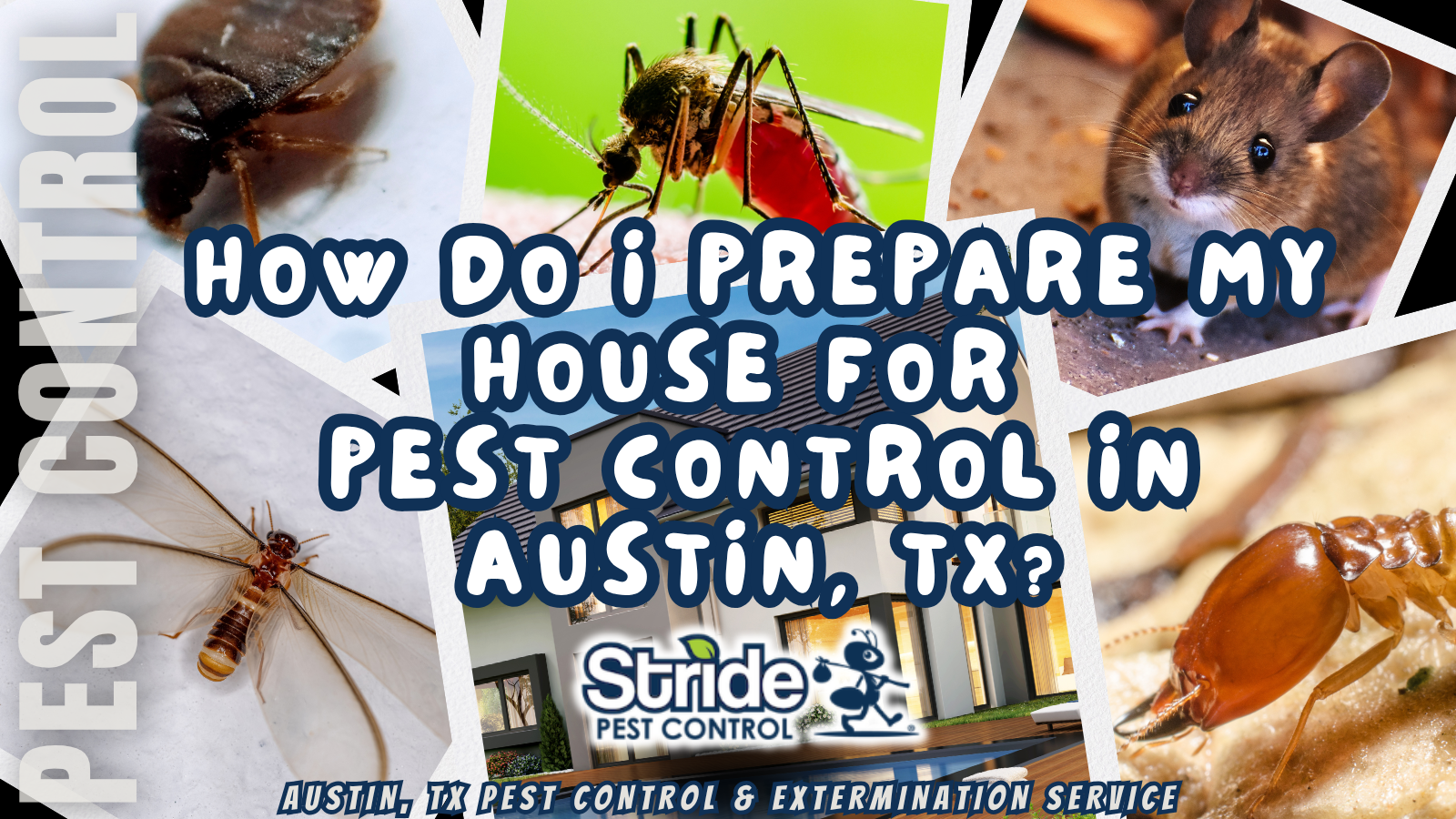 How do I prepare my house for pest control in Austin, TX?