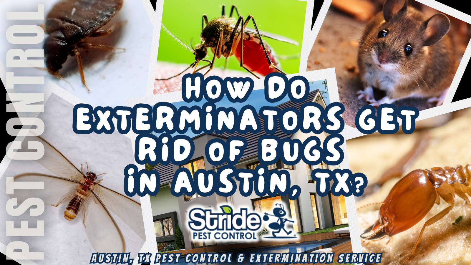 How Do Exterminators Get Rid of Bugs in Austin?