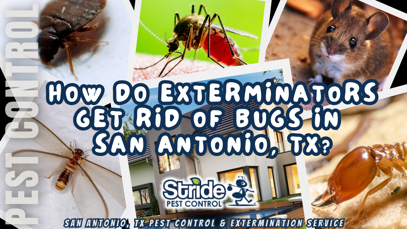 How do exterminators get rid of bugs in San Antonio, TX?