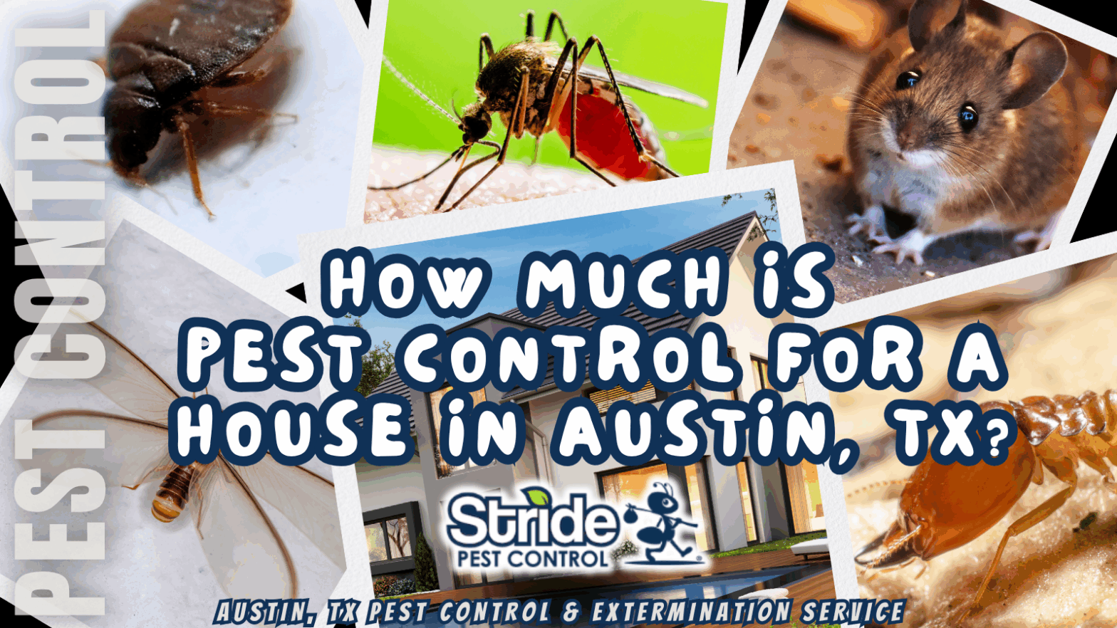 How much is pest control for A house in Austin, TX?