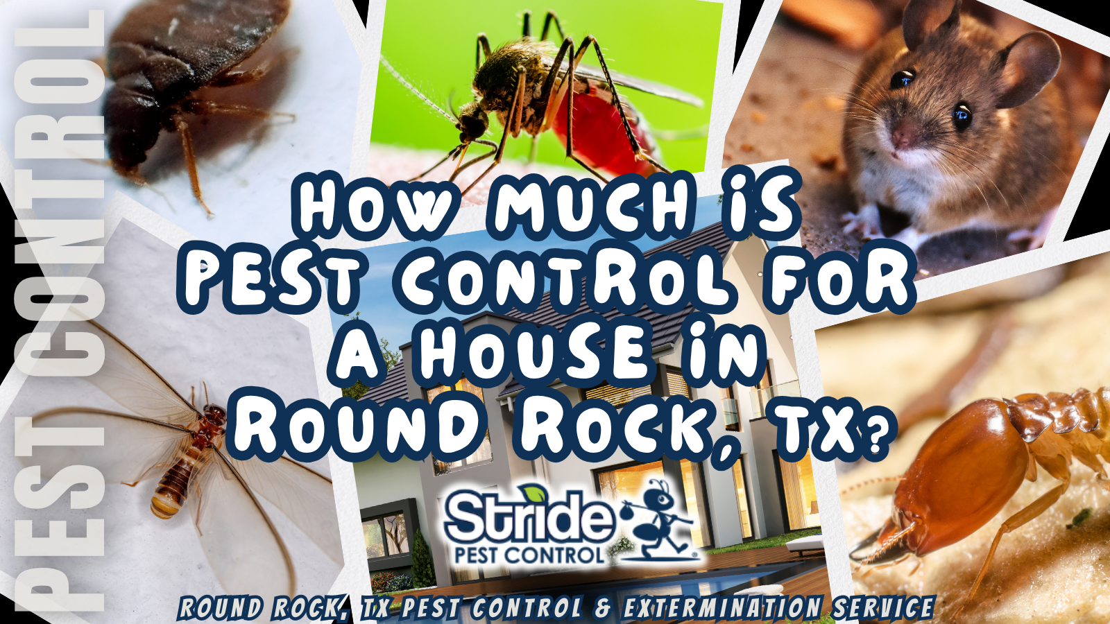 How Much Is Pest Control for House in Round Rock, TX?