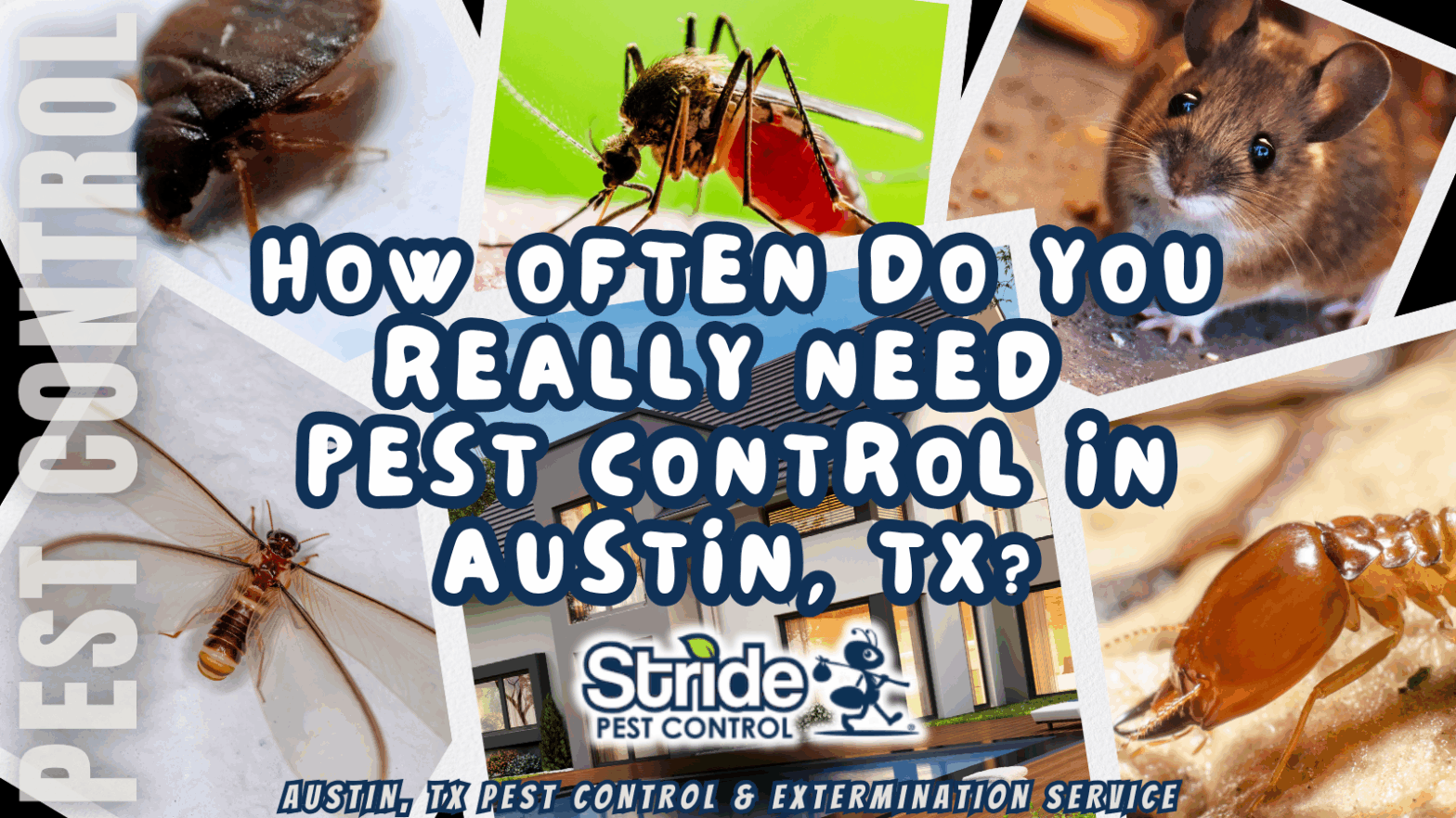 How often do you really need pest control in Austin, TX?
