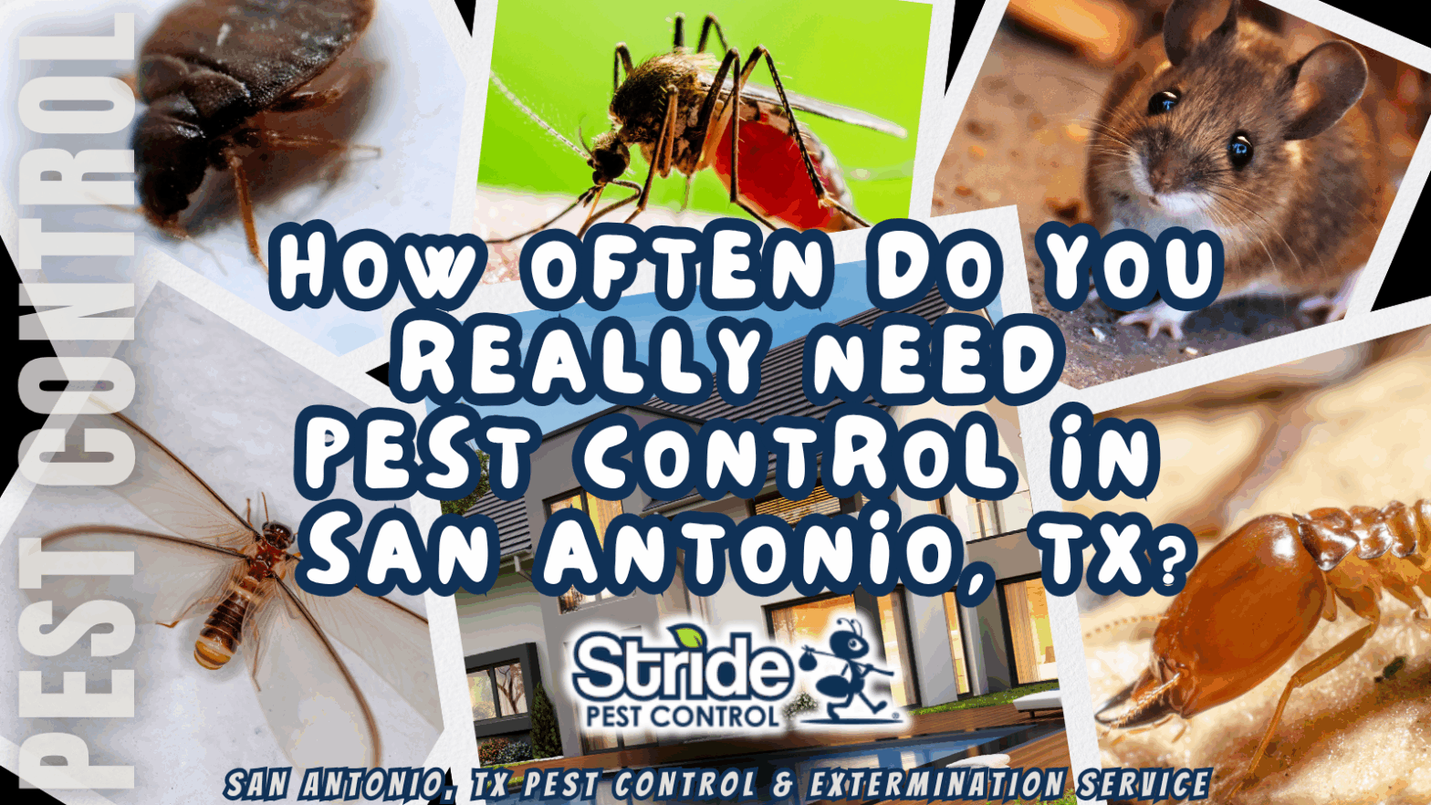 How often do you really need pest control in San Antonio, TX?
