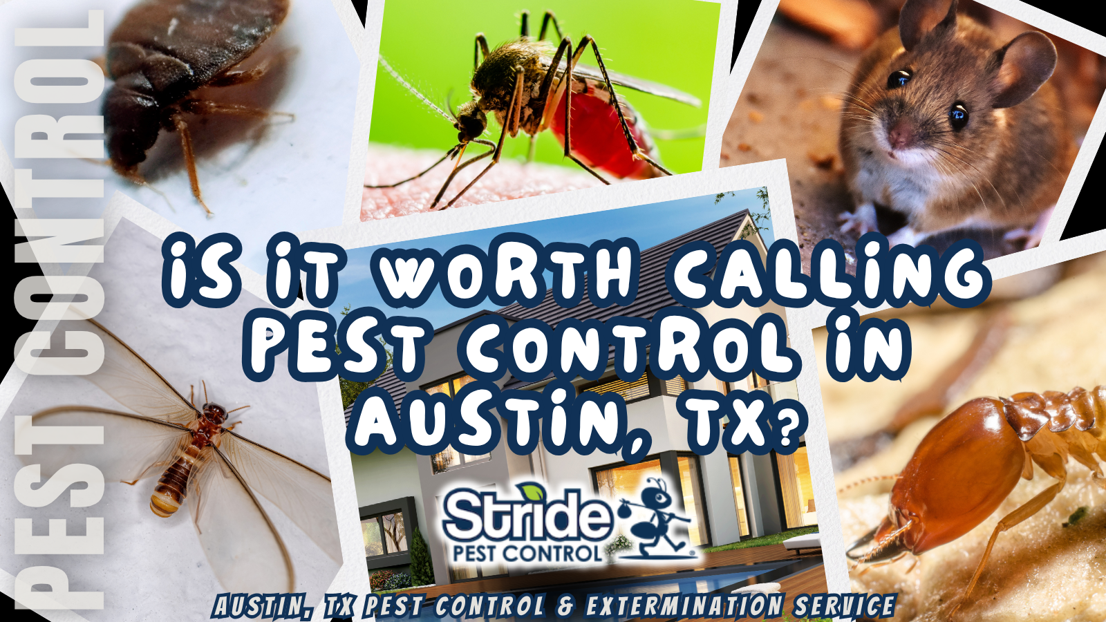 Is it worth calling pest control in Austin, TX?