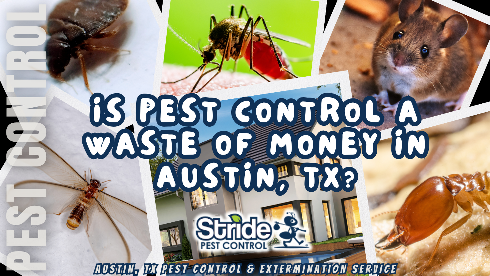 Is pest control a waste of money in Austin, TX?