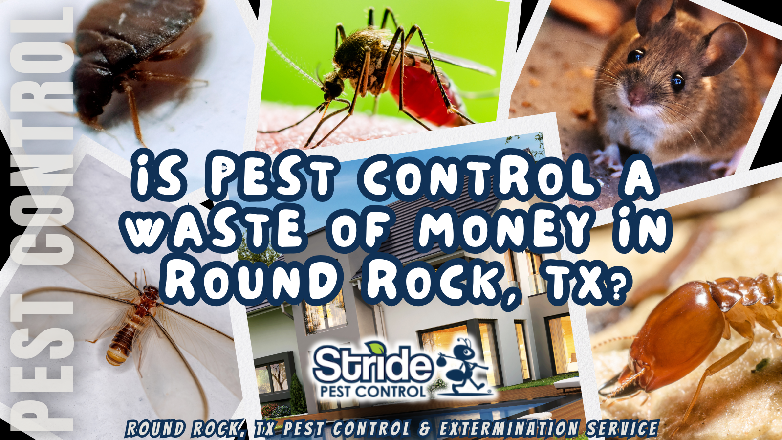 Is Pest Control a Waste of Money in Round Rock, TX?