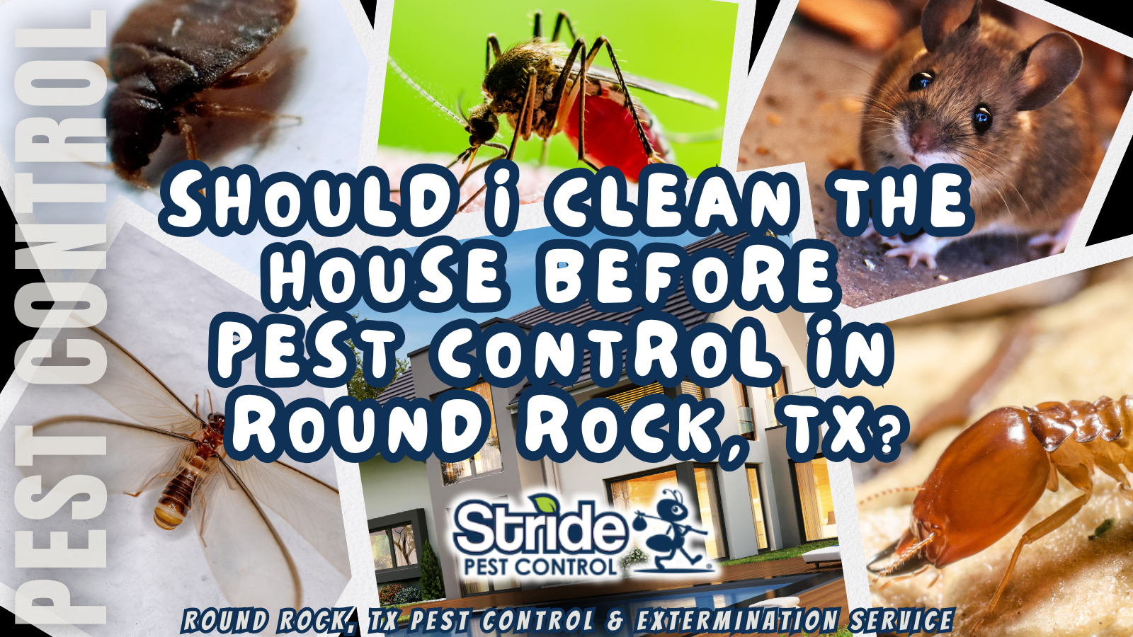 Should I Clean the House Before Pest Control in Round Rock, TX?