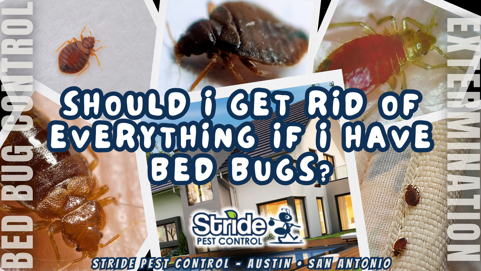 Should I Get Rid of Everything if I Have Bed Bugs?