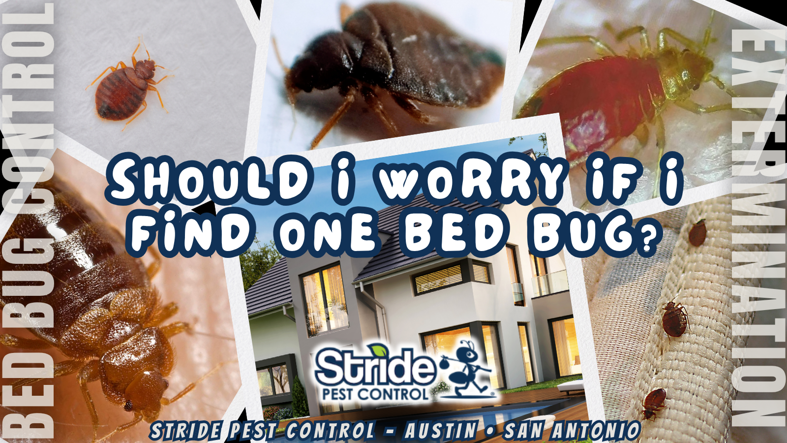 Should I Worry if I Find One Bed Bug?