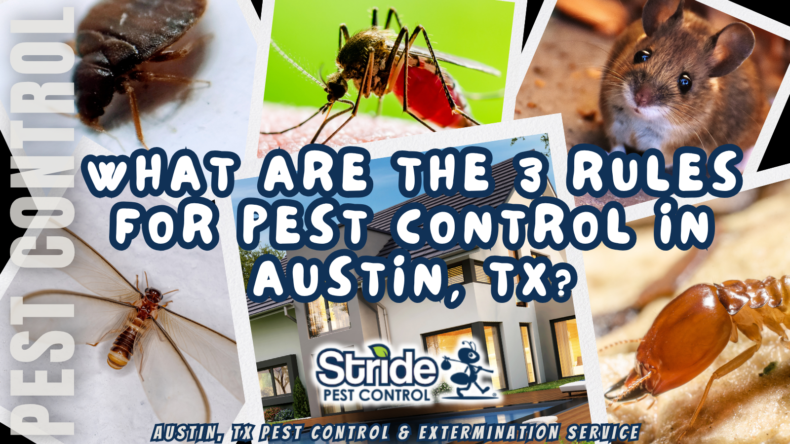 What are the 3 rules for pest control in Austin, TX?