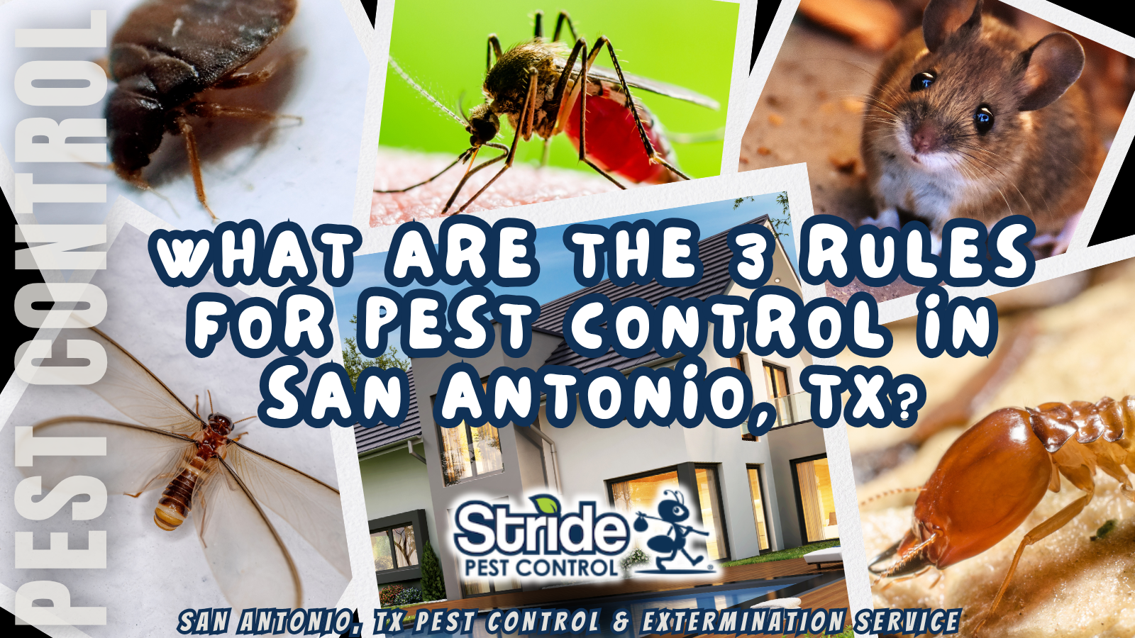 What are the 3 rules for pest control in San Antonio, TX?