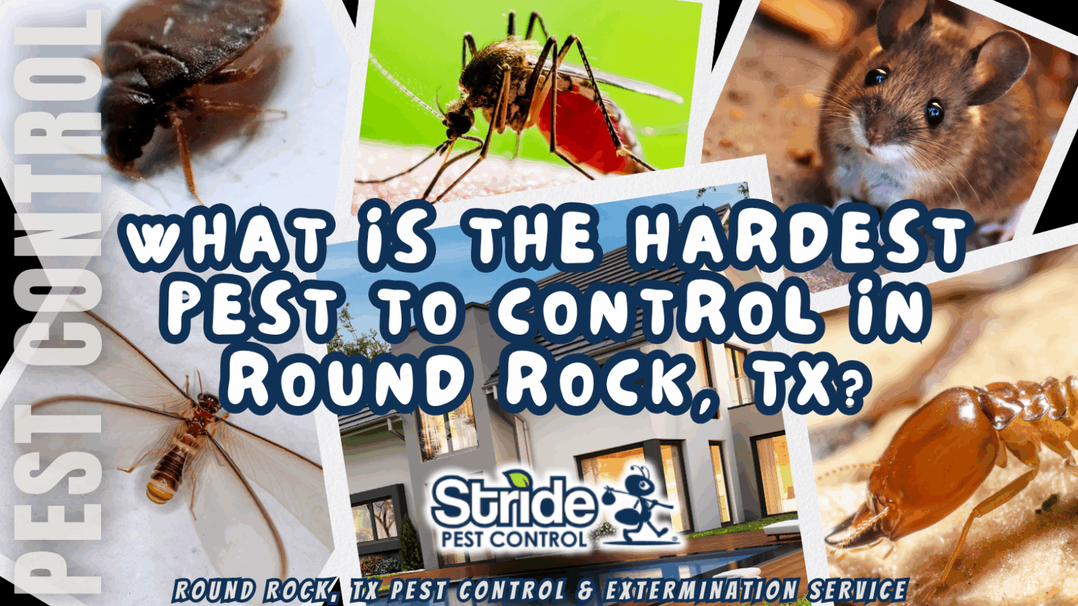 What is the hardest pest to control in Round Rock, TX?