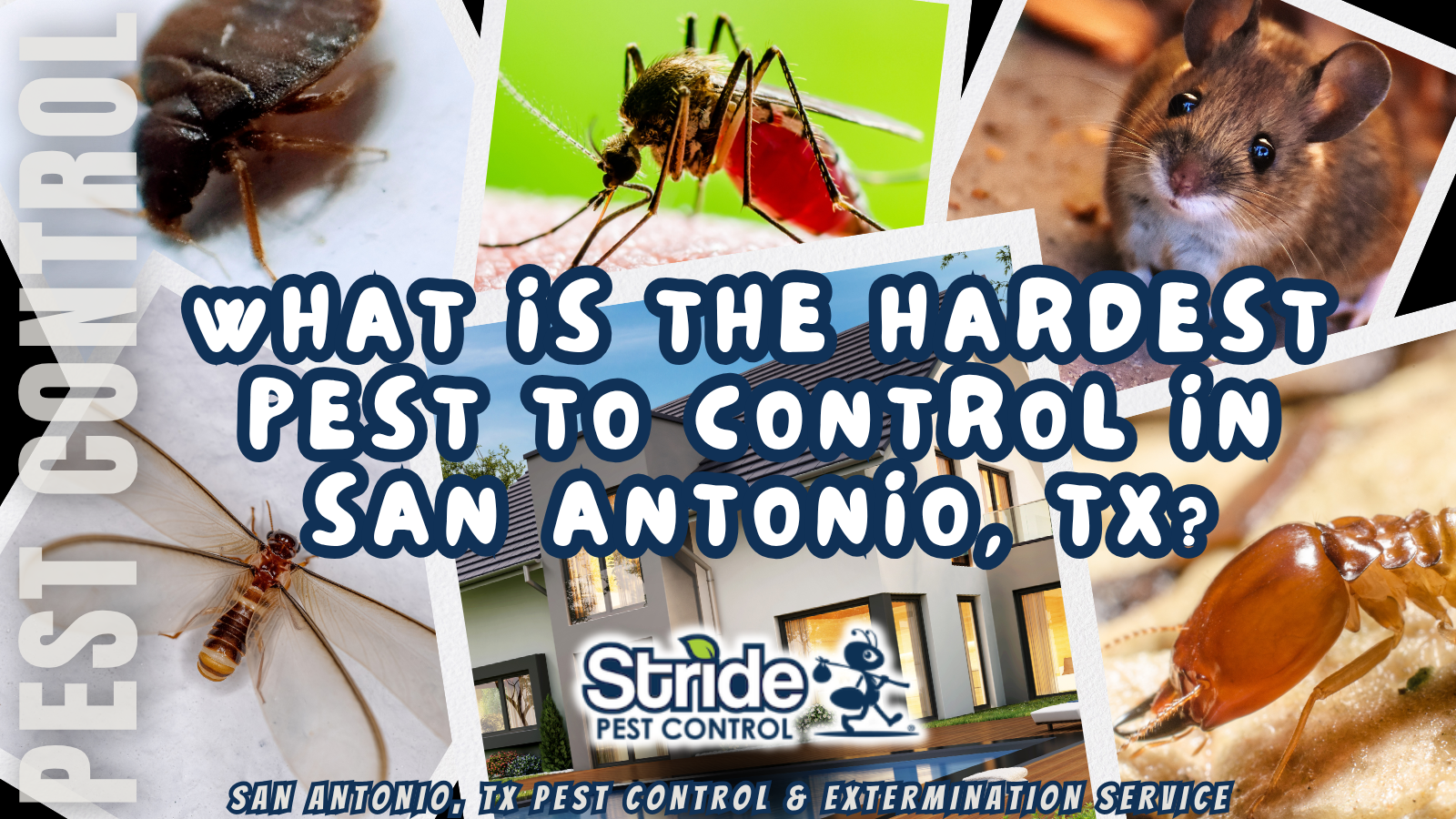 What is the hardest pest to control in San Antonio, TX?