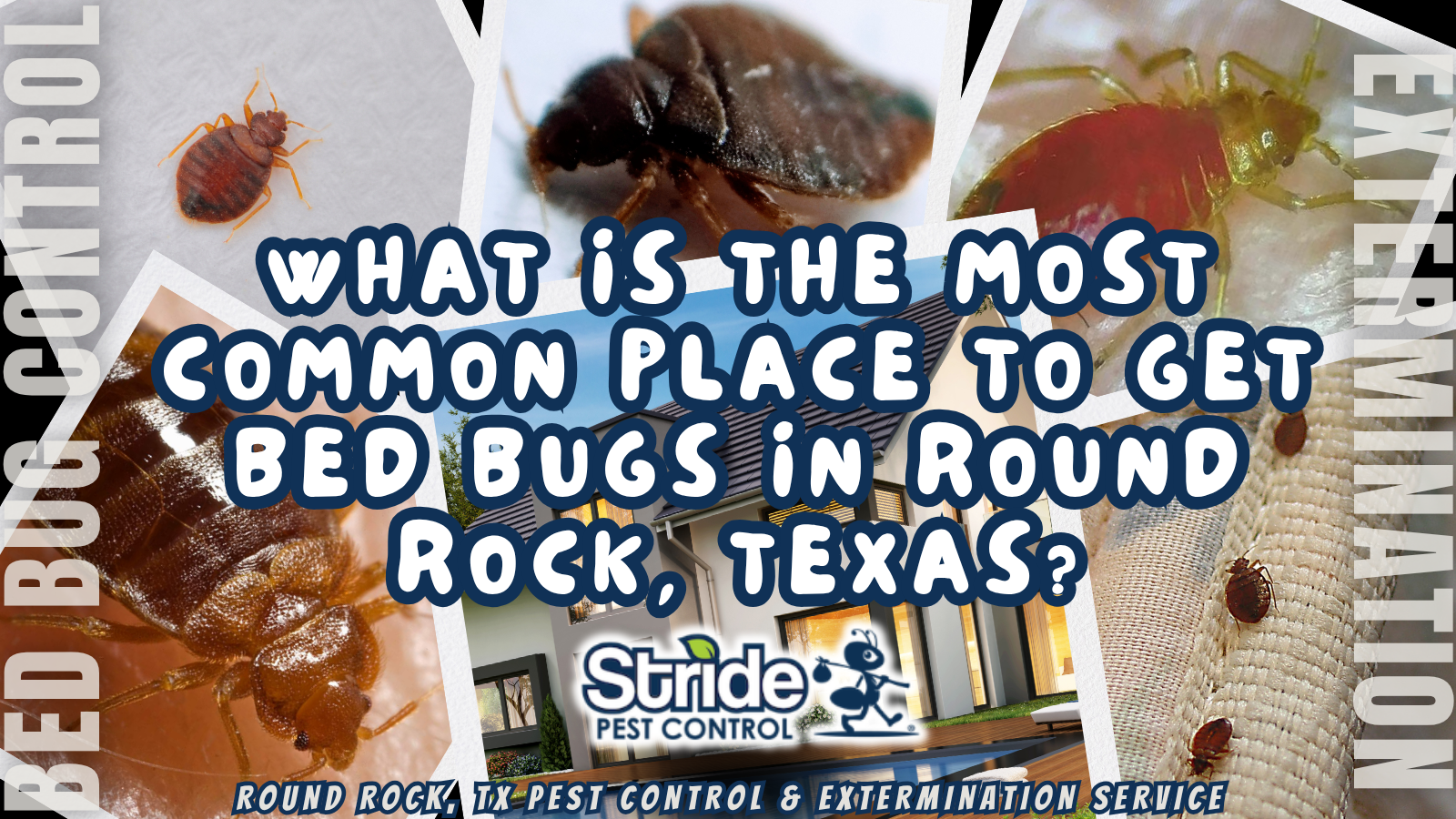 What is the most common place to get bed bugs in Round Rock, Texas?