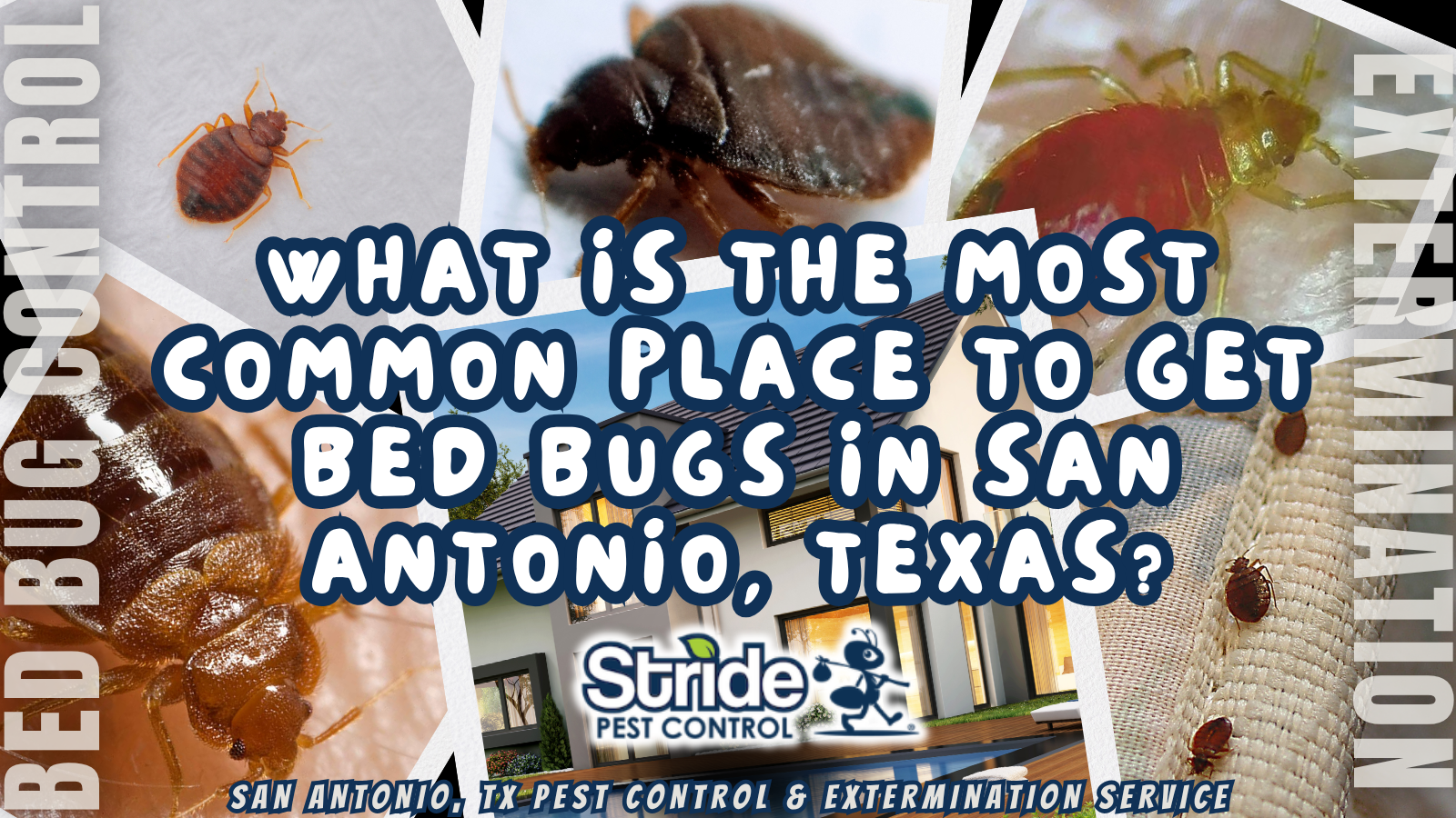 What is the most common place to get bed bugs in San Antonio, Texas?