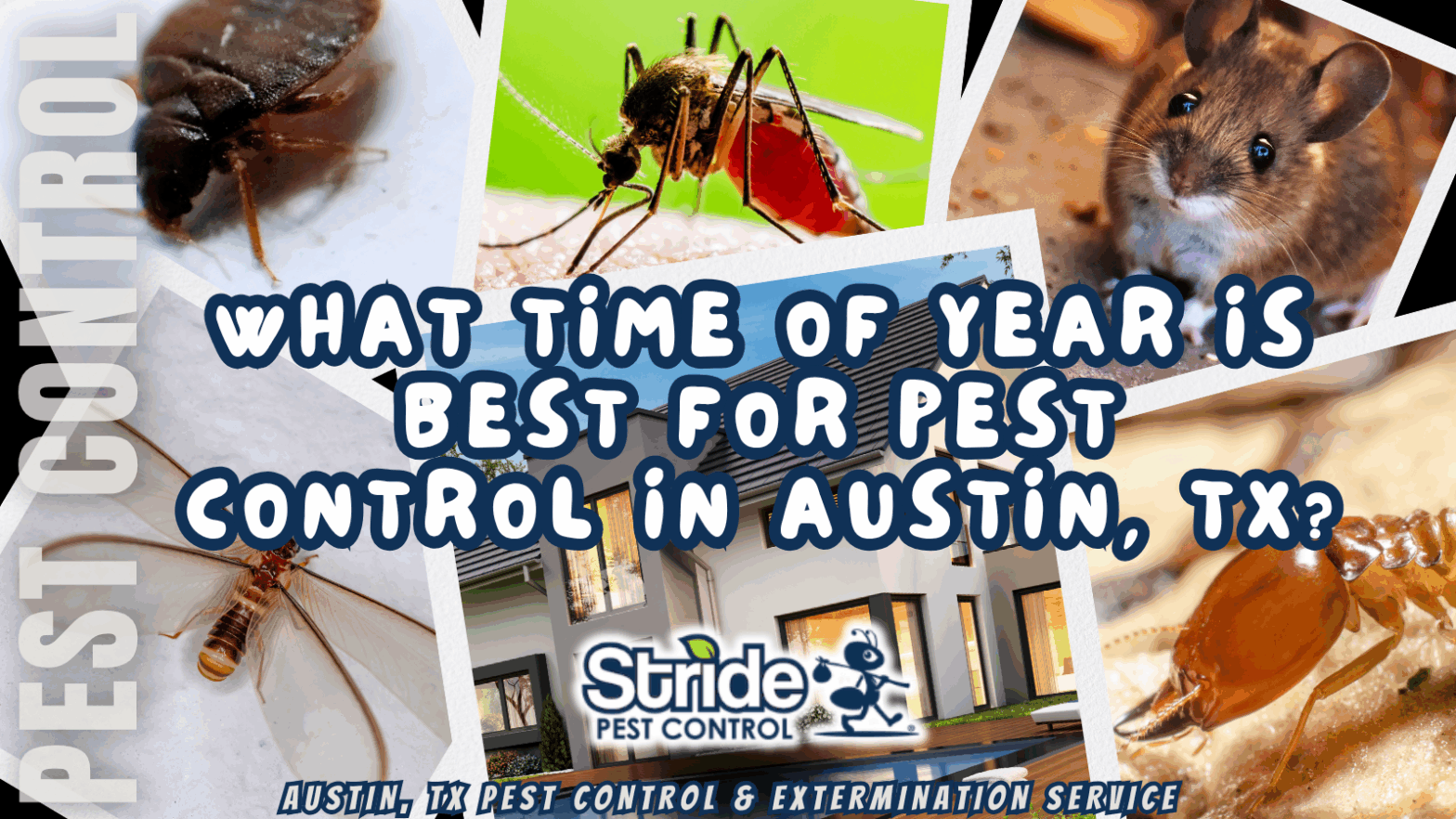 What time of year is best for pest control in Austin, TX?