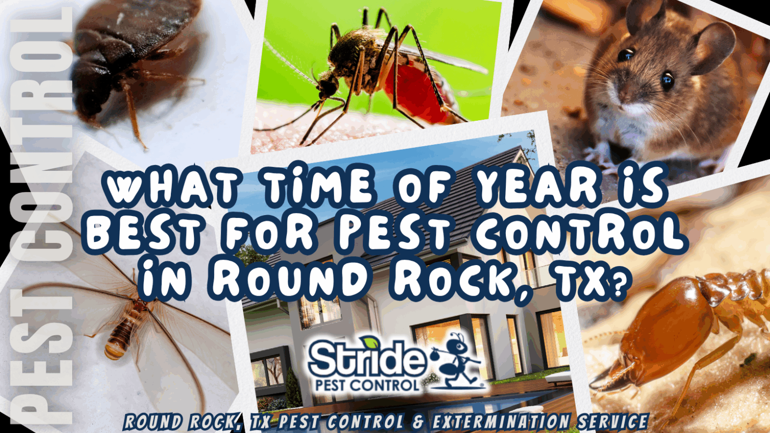 What time of year is best for pest control in Round Rock, TX?