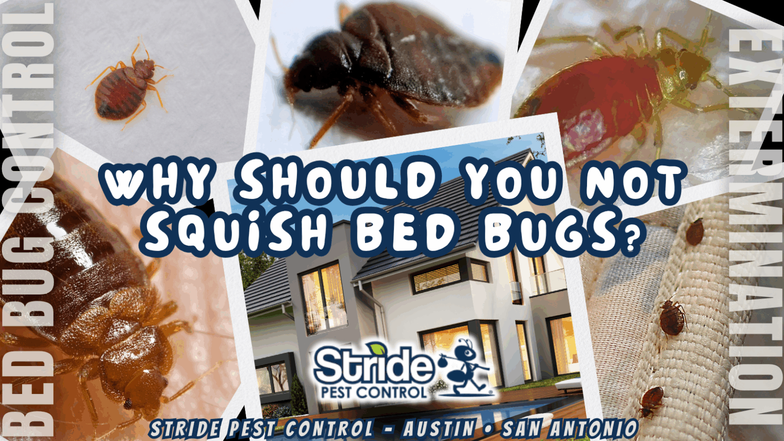 Why should you not squish bed bugs?