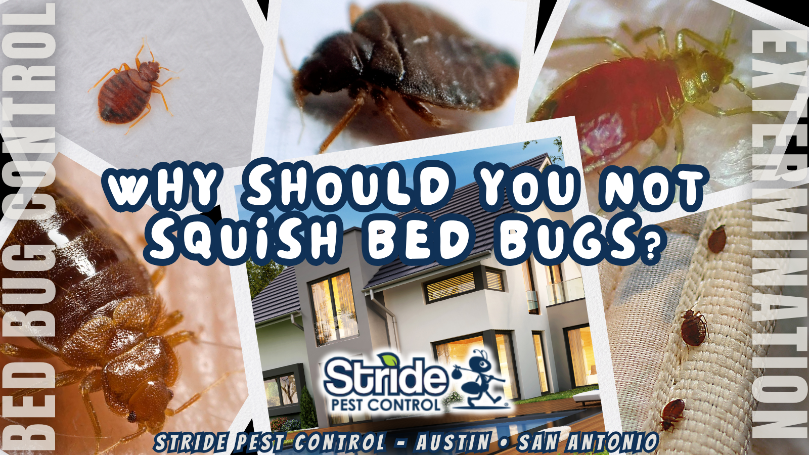 Why should you not squish bed bugs?