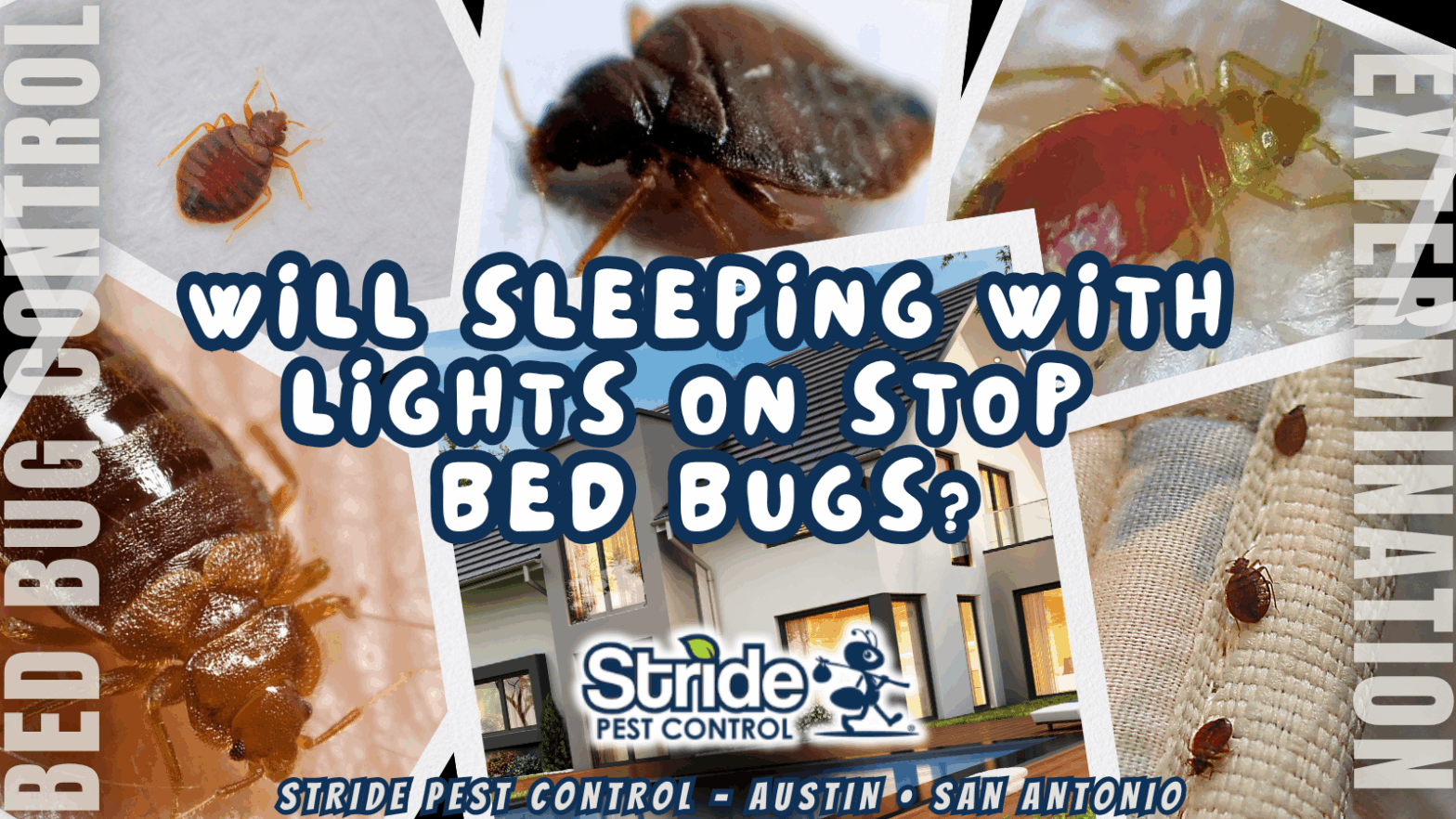 Will sleeping with lights on stop bed bugs?