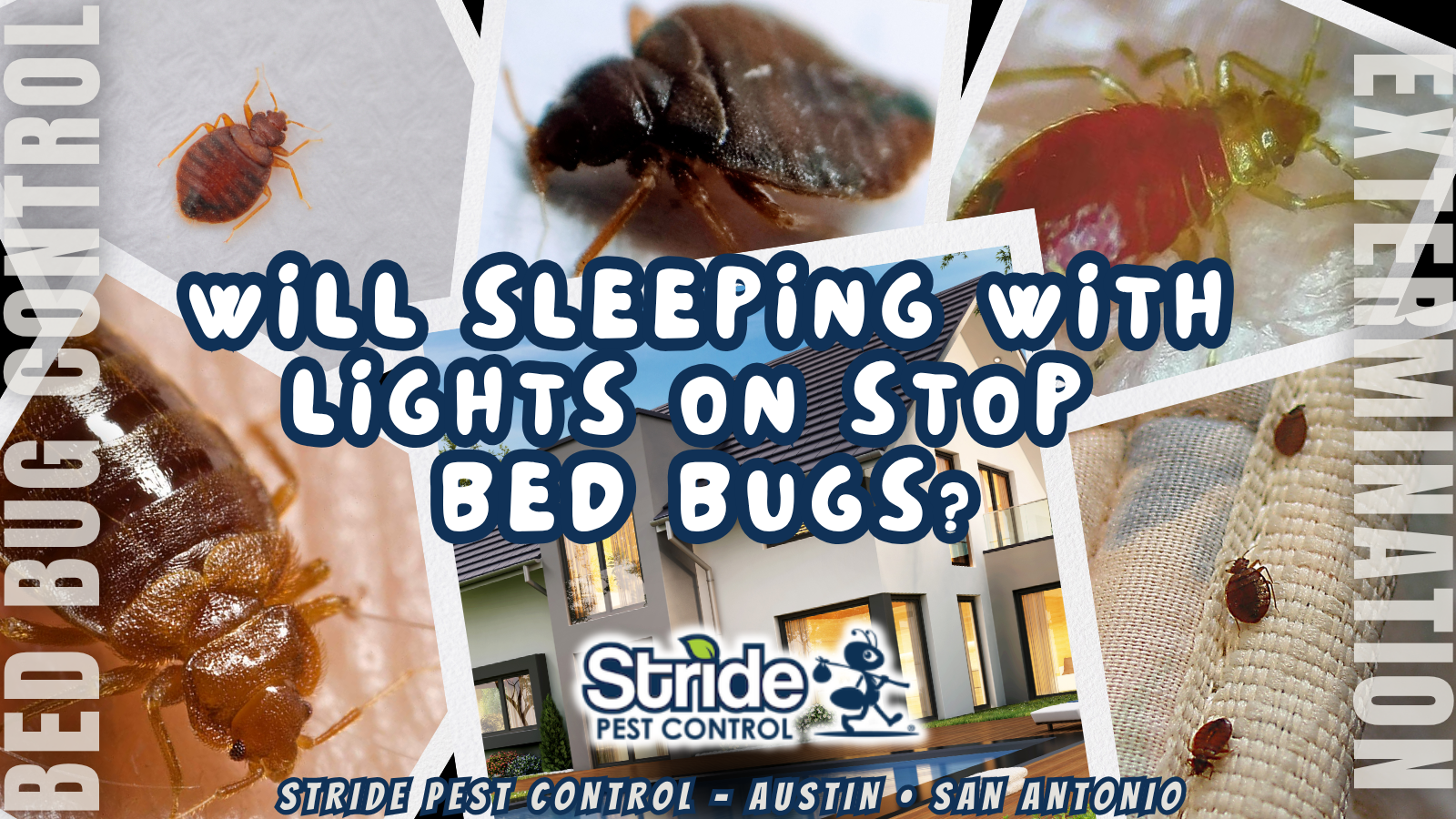 Will sleeping with lights on stop bed bugs?