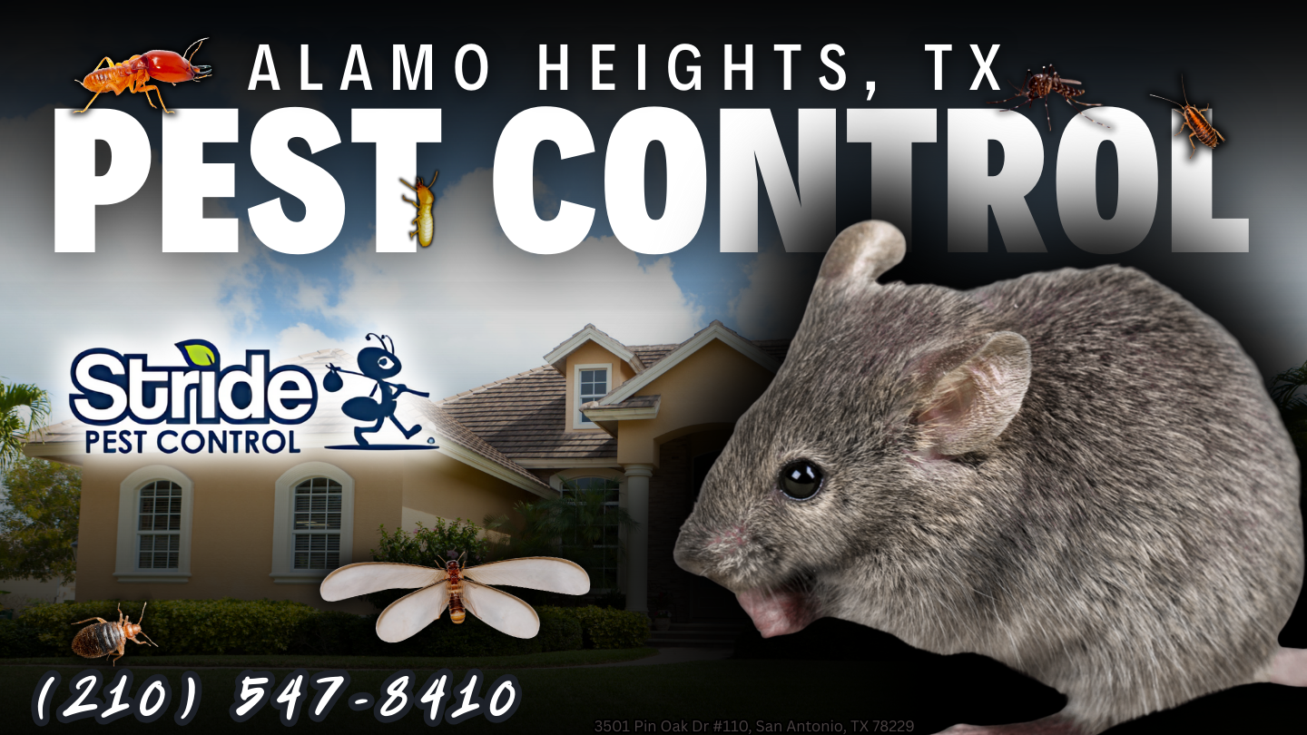 pest extermination service San Antonio, Texas