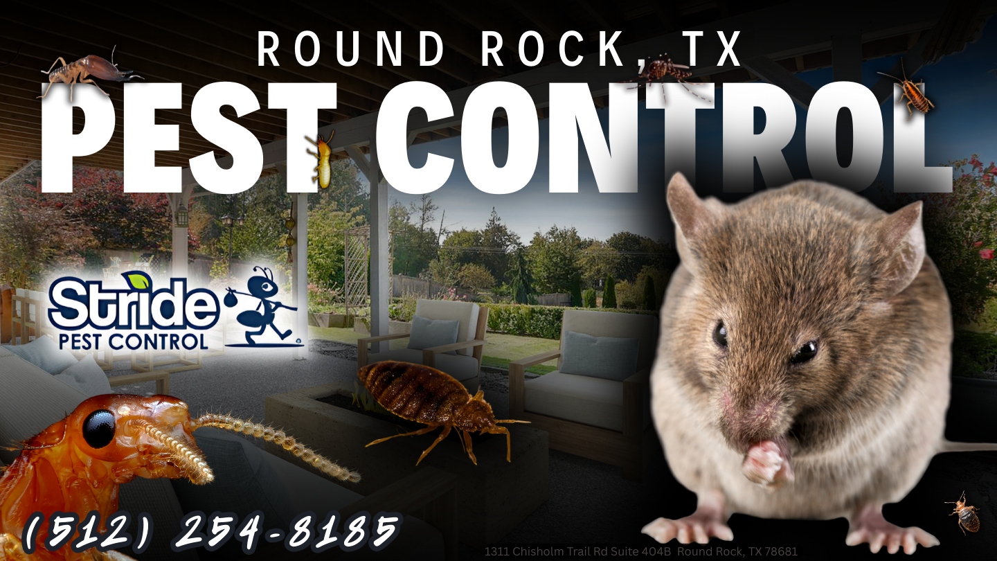 Round Rock, TX Pest Control & Extermination (512) 254-8185