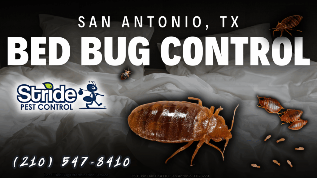 San Antonio TX Bed Bug Control & Extermination (210) 547-8410