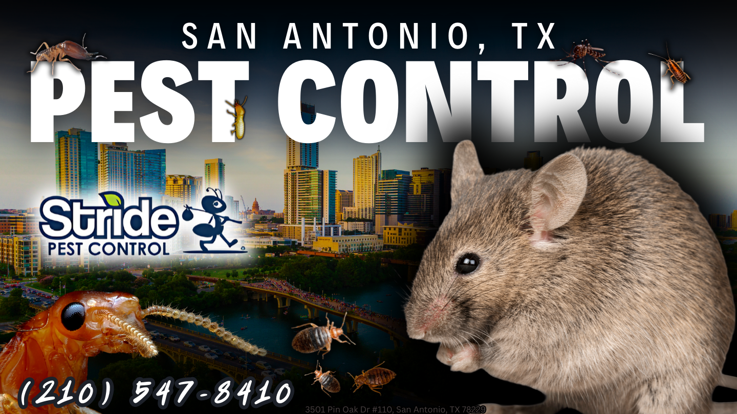 San Antonio, TX Pest Control & Extermination (210) 547-8410