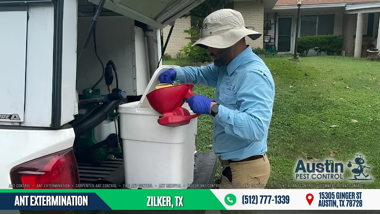 Ant Extermination Zilker, TX