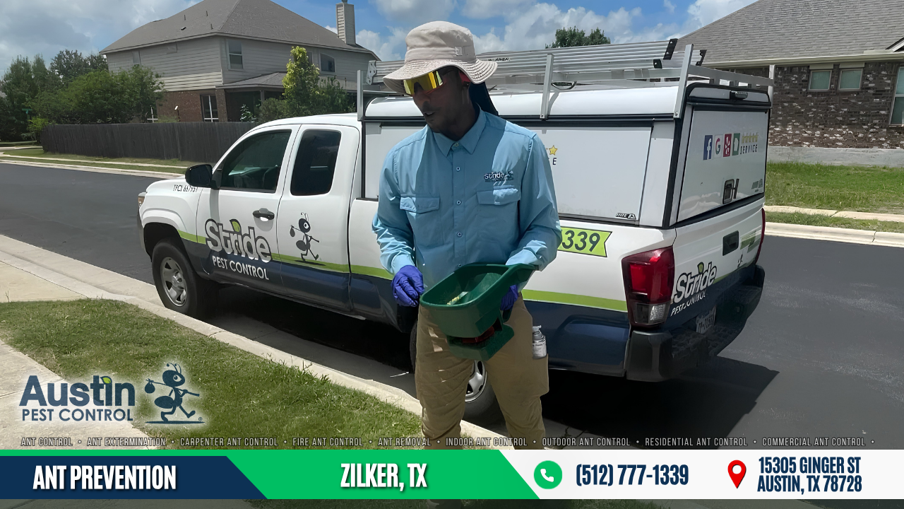 Ant Prevention Zilker, TX